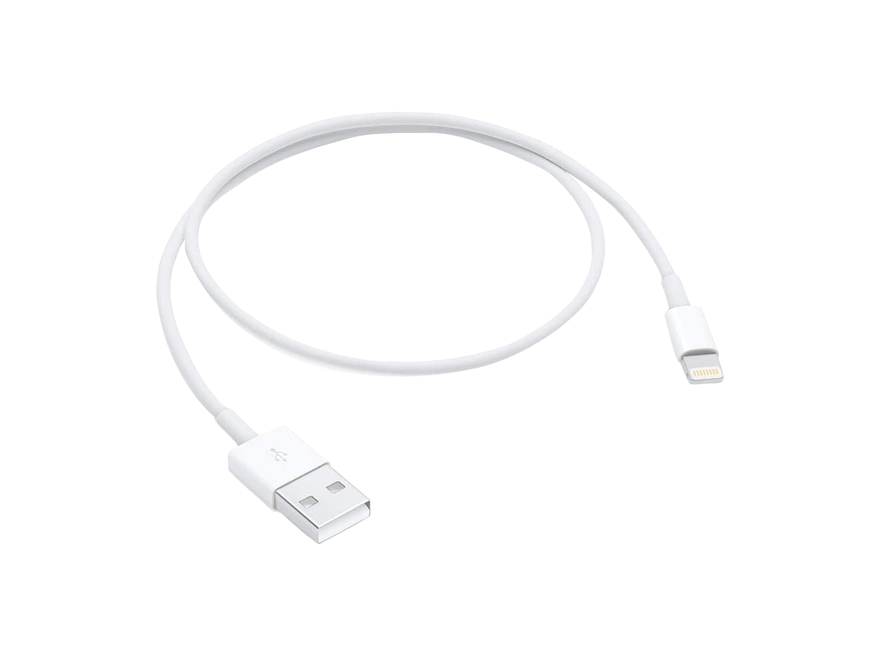 Apple Lightning to USB Cable (0.5 m) Apple Lightning to USB Cable (0.5 m)