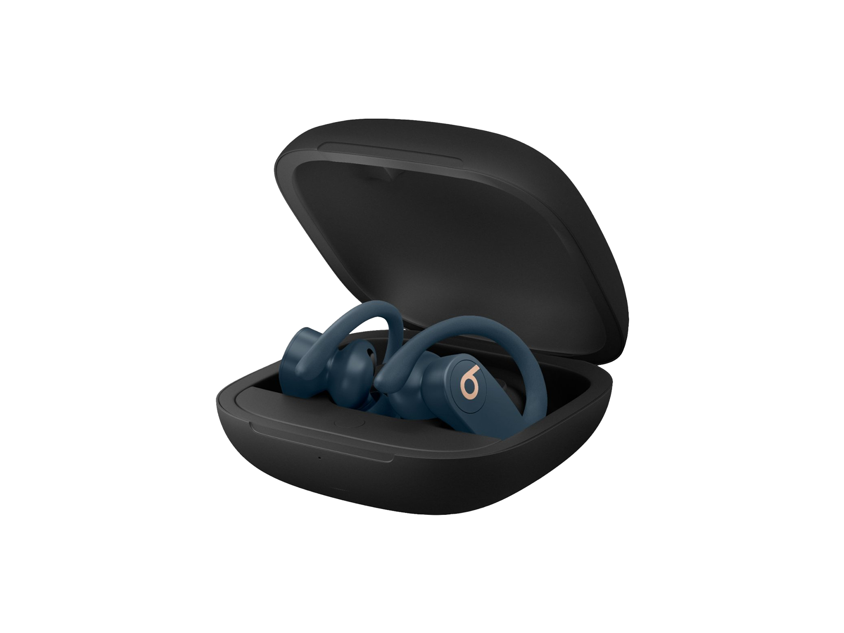 Beats Powerbeats Pro Wireless Earphones Beats Powerbeats Pro Wireless Earphones