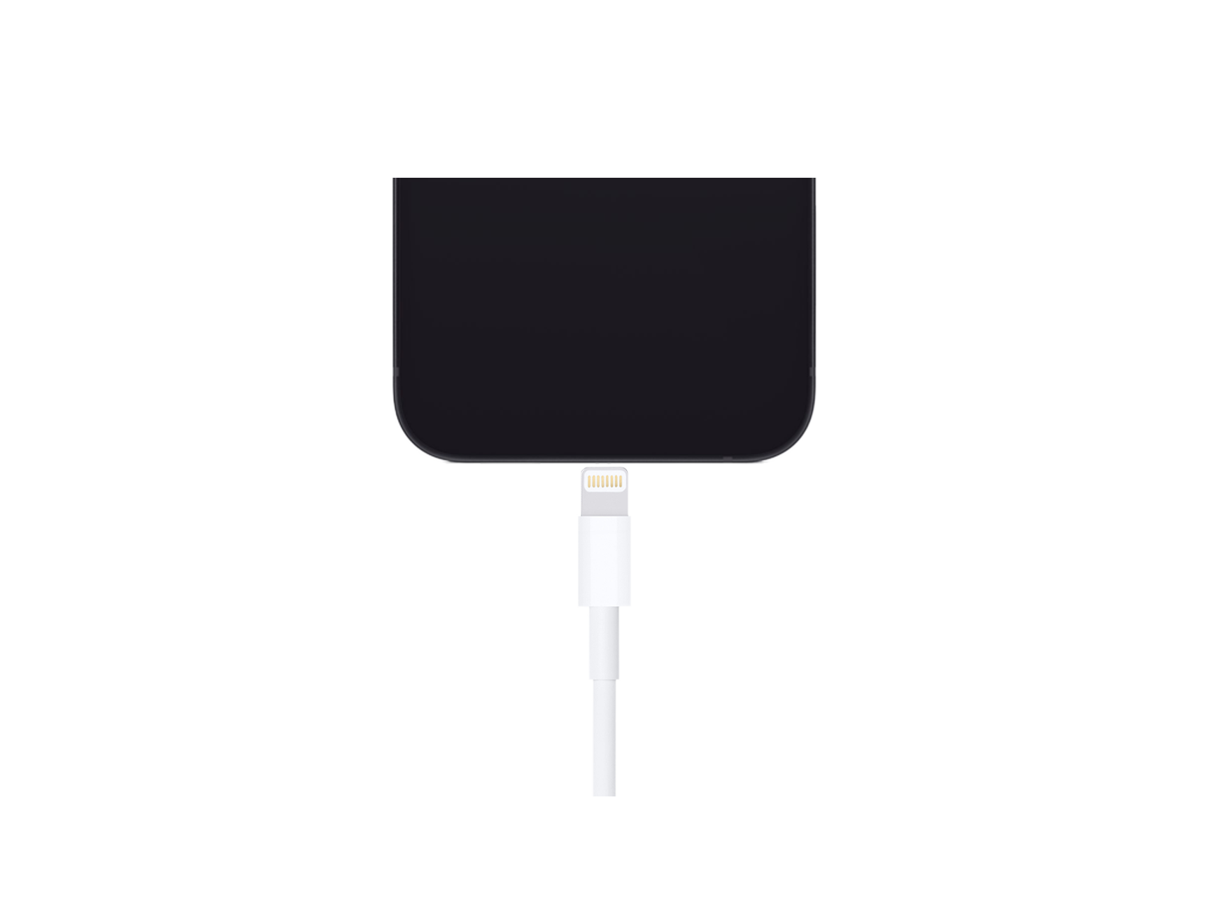 Apple USB-C To Lightning Cable (1m/3.3') Apple USB-C To Lightning Cable (1m/3.3')