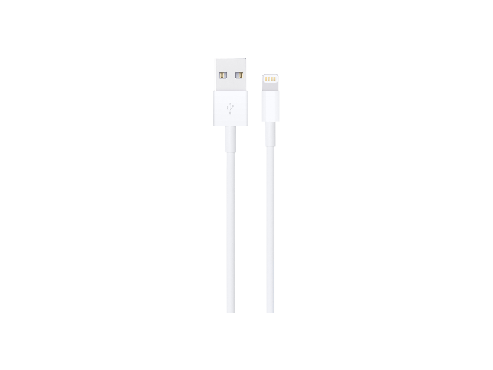 Apple Lightning to USB Cable (0.5 m) Apple Lightning to USB Cable (0.5 m)